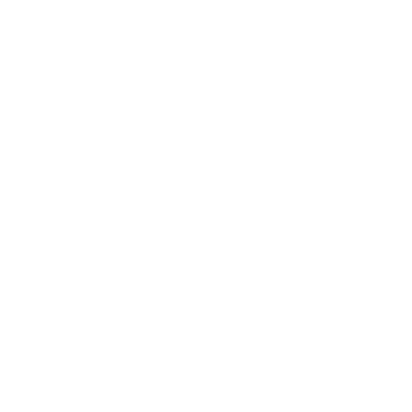 Topos Travel